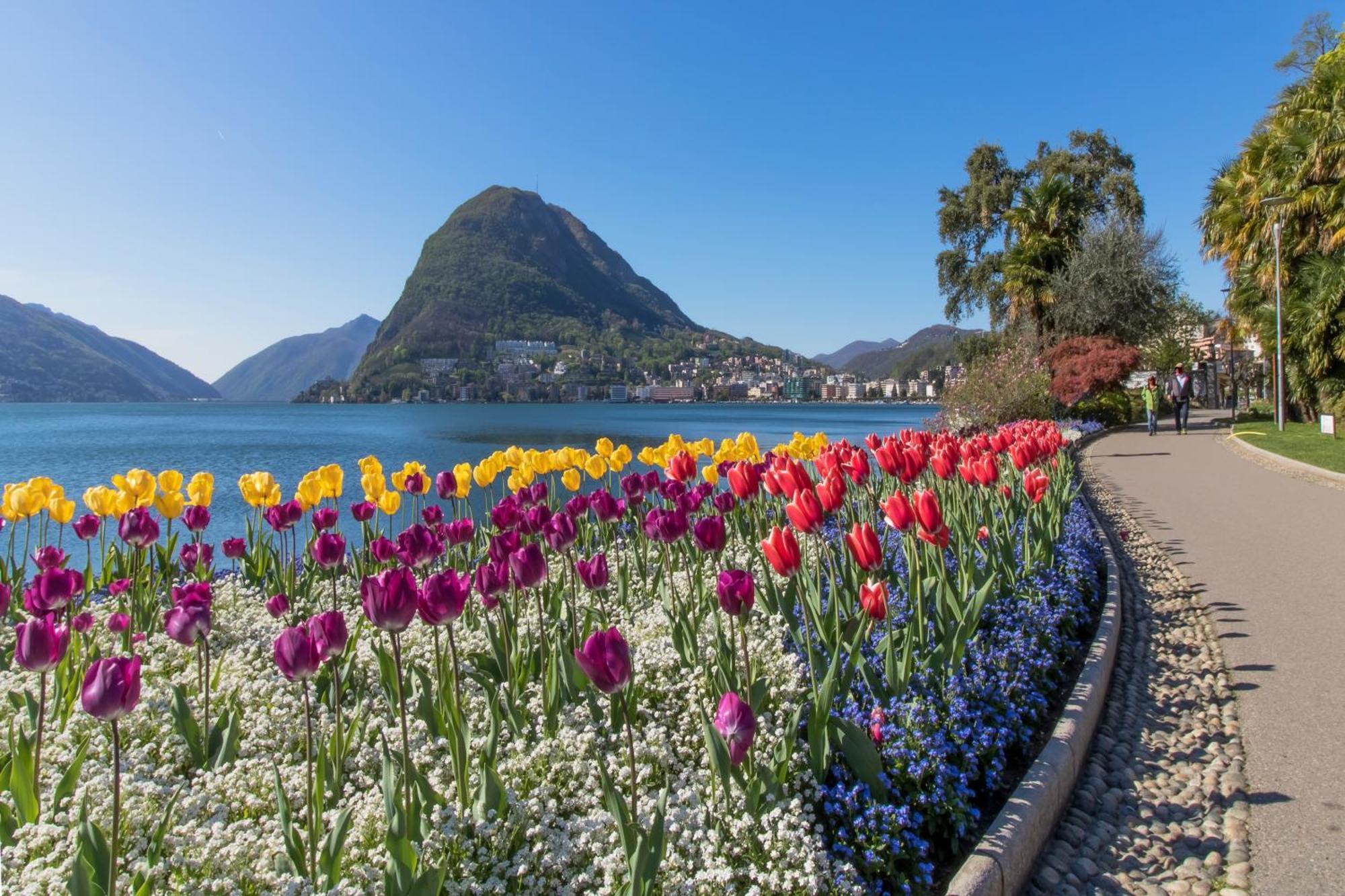 Love Of Lugano - Happy Rentals Exteriér fotografie